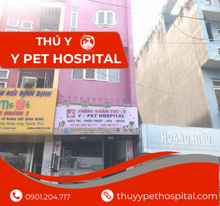 THÚ Y - Y PÉT HOSPITAL