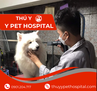 Tay Nghề Chuyên Nghiệp
