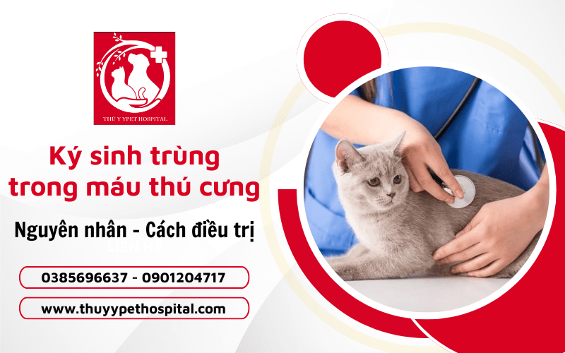 bệnh ký sinh trùng trong máu ở thú cưng