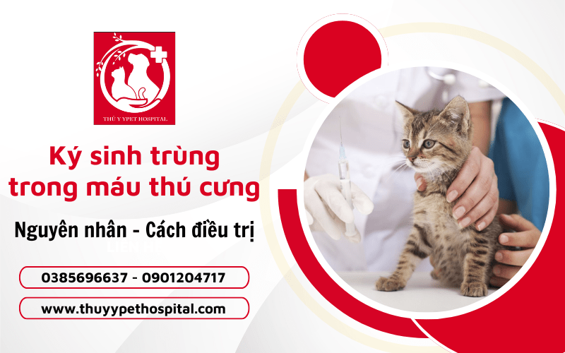 bệnh ký sinh trùng trong máu ở thú cưng