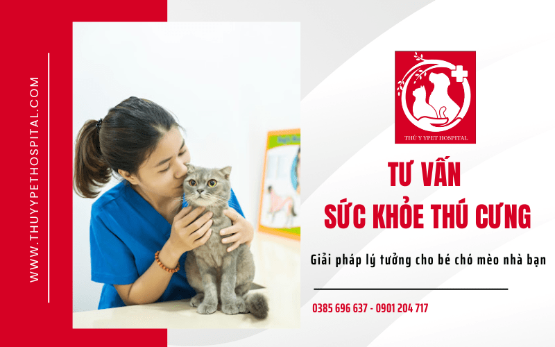 tư vấn sức khỏe thú cưng