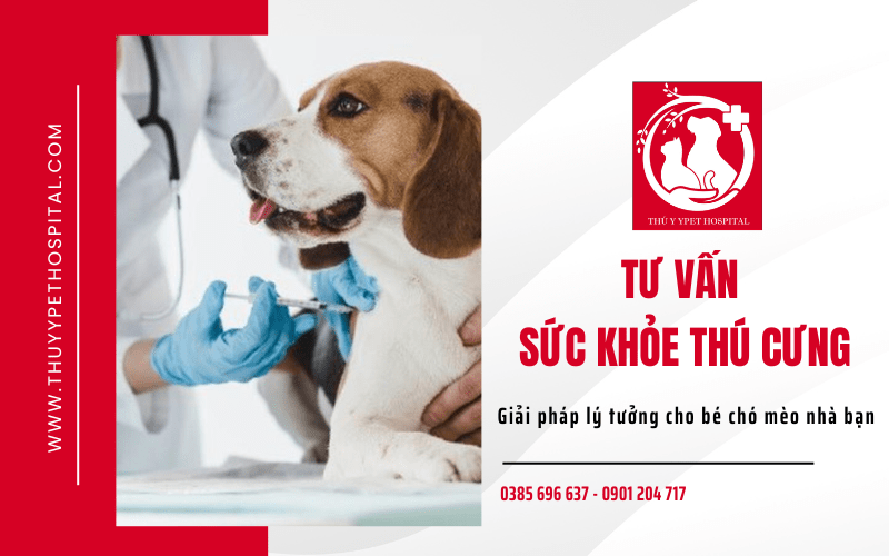 tư vấn sức khỏe thú cưng