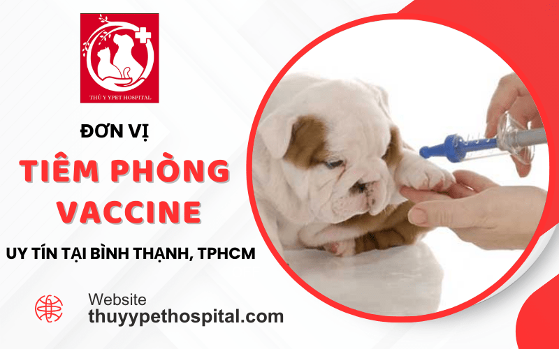 Đơn vị tiêm phòng vaccine