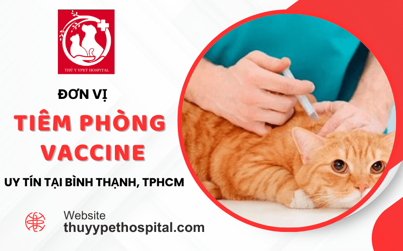 Đơn vị tiêm phòng vaccine