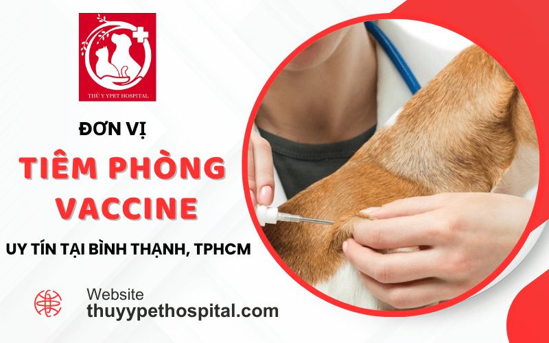 Đơn vị tiêm phòng vaccine