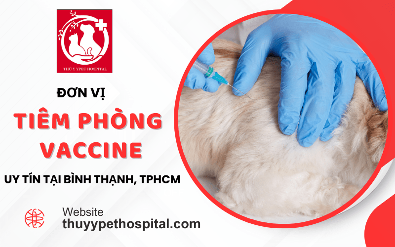 Đơn vị tiêm phòng vaccine