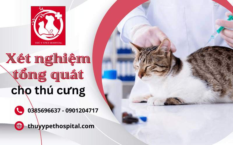 xét nghiệm tổng quát thú cưng