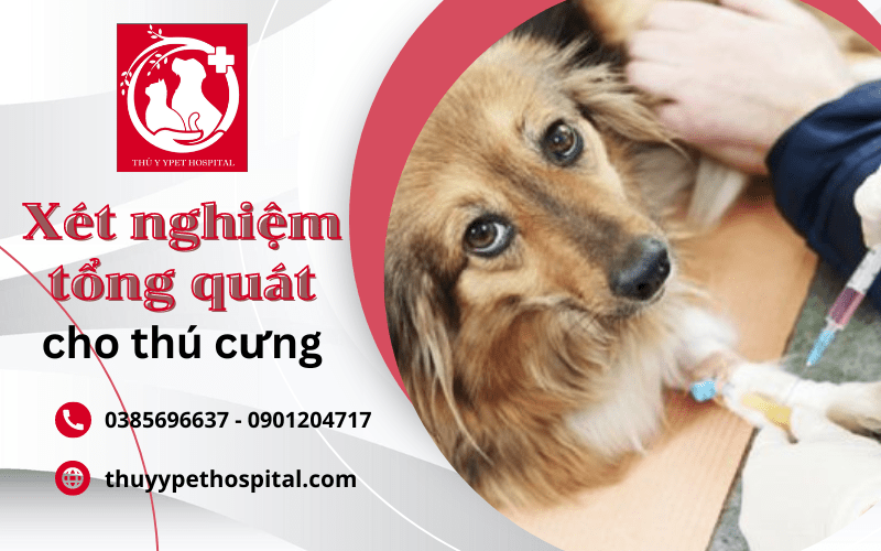 xét nghiệm tổng quát thú cưng