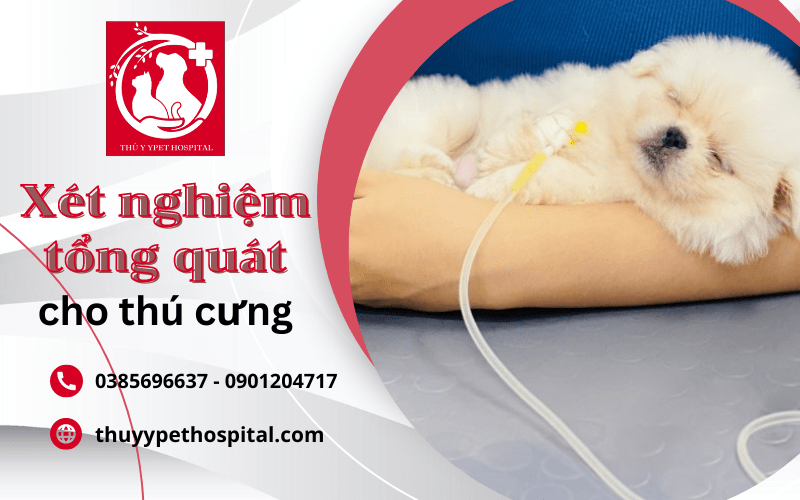 xét nghiệm tổng quát thú cưng