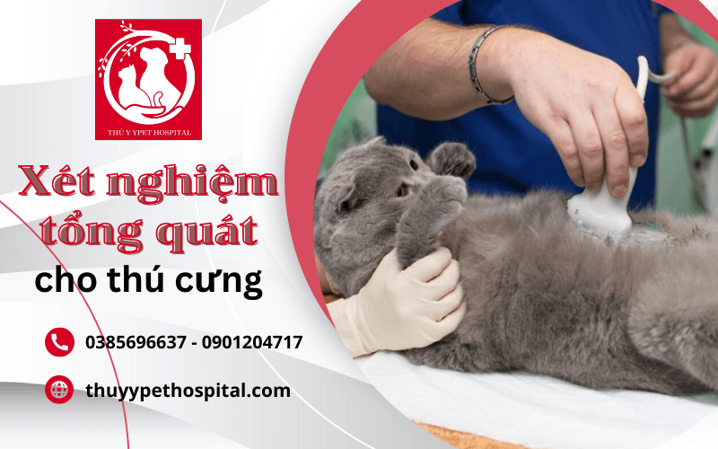 xét nghiệm tổng quát thú cưng