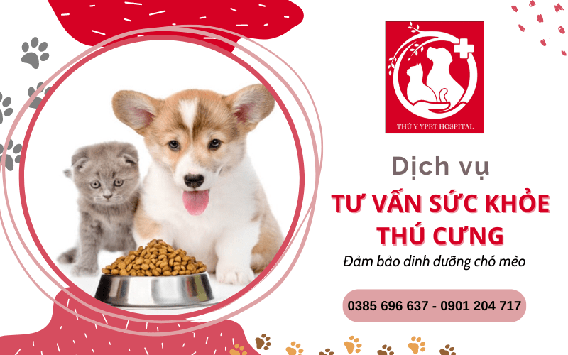 tư vấn sức khỏe thú cưng