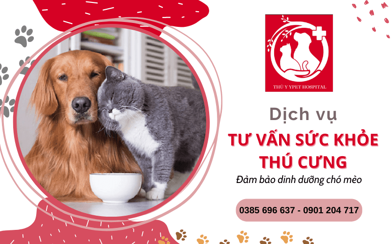 tư vấn sức khỏe thú cưng