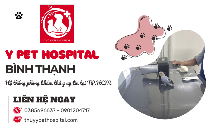 Phòng khám thú y Bình Thạnh