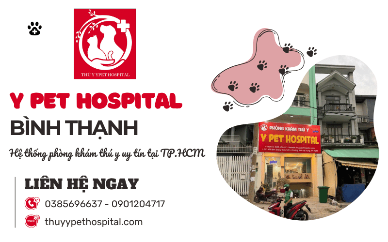 Phòng khám thú y Bình Thạnh