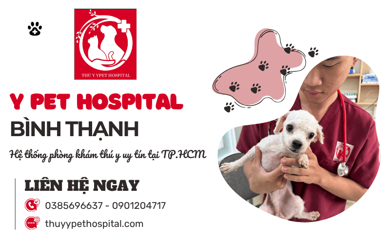 Phòng khám thú y Bình Thạnh