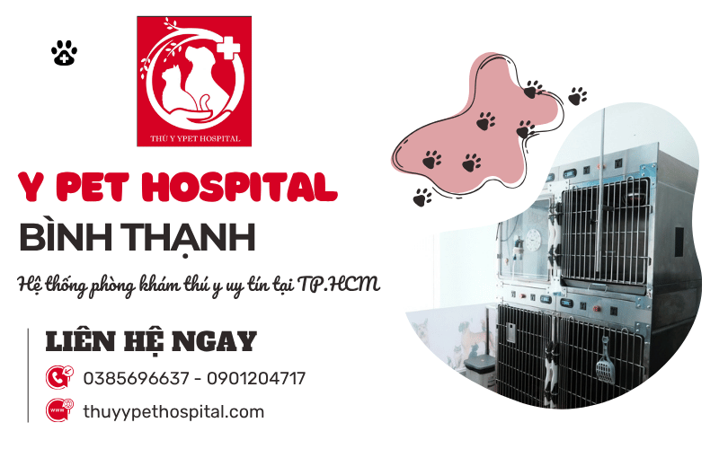 Phòng khám thú y Bình Thạnh