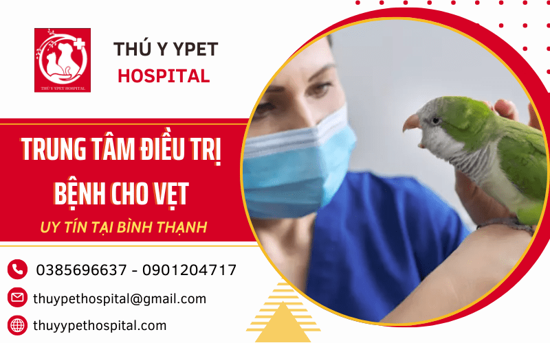 điều trị bệnh cho vẹt