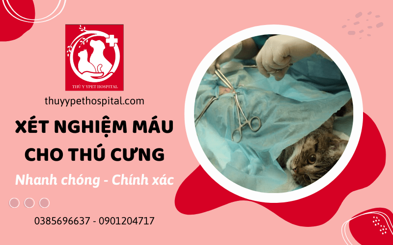 xét nghiệm máu cho thú cưng