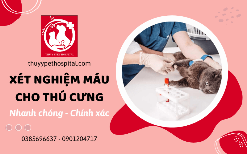 xét nghiệm máu cho thú cưng