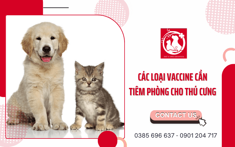 Các loại vaccine cần tiêm phòng cho thú cưng 