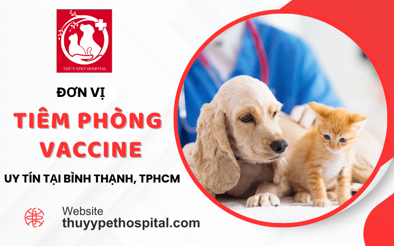 Đơn vị tiêm phòng vaccine uy tín tại Bình Thạnh, TP. HCM
