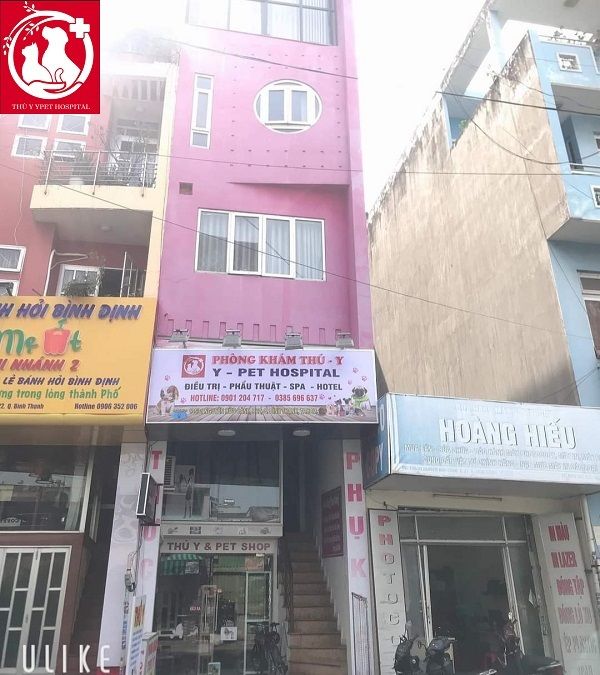 Phòng khám thú y cho vẹt tại TP.HCM