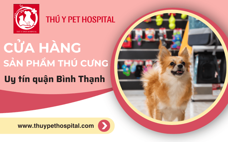 Các loại sản phẩm thú cưng cần thiết và cửa hàng cung cấp uy tín Bình Thạnh