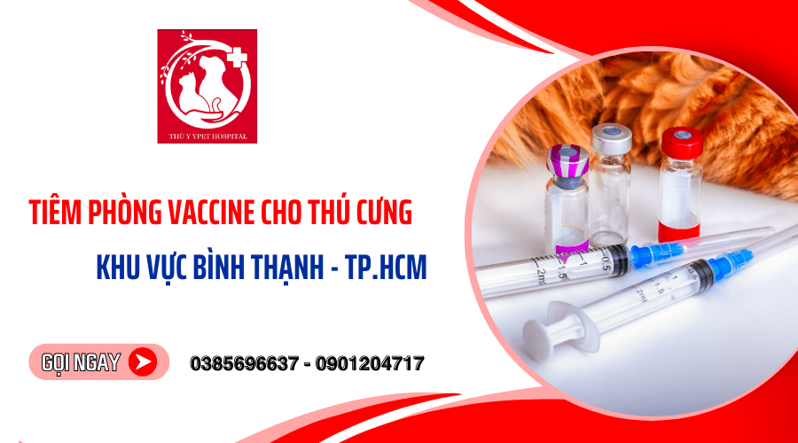Tiêm phòng vaccine định kỳ cho thú cưng tại Bình Thạnh - TPHCM